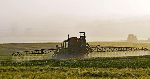 La production de produits phytosanitaires en France