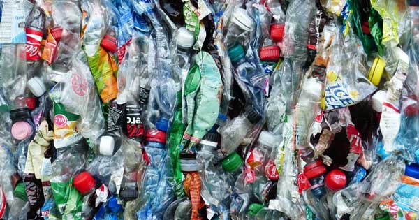 Services environnementaux : recul des revenus en 2023
