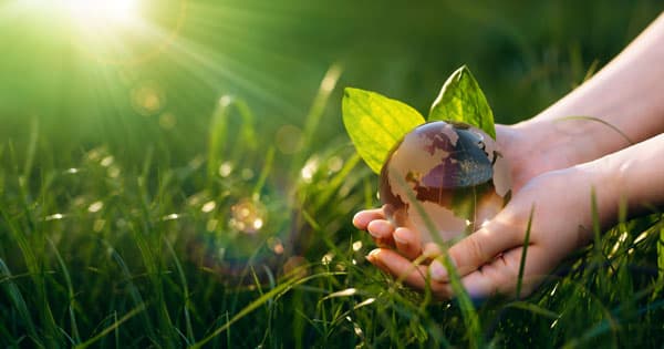 Le conseil en développement durable en pleine croissance